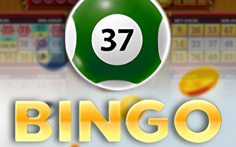 Try Bingo 37 for an exciting lucky numbers session on Jeetbuzz.