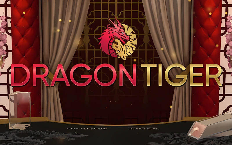 Play the fast-paced Dragon Tiger casino game live at Jeetbuzz.