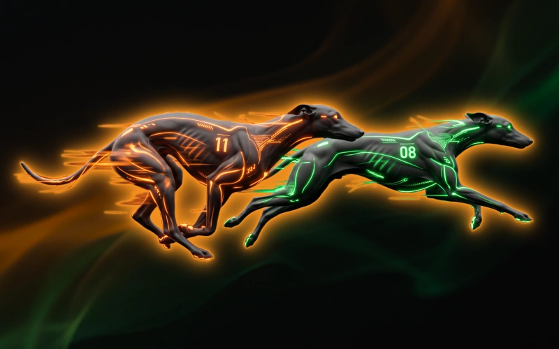 Bet on virtual greyhound racing events instantly using your Jeetbuzz account.